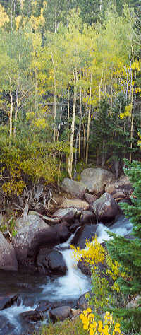 Glacier Gorge, Rocky Mountain National Park