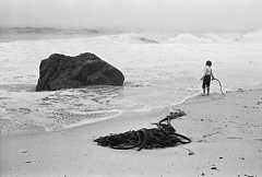 Boy, Garrapata Beach 1975