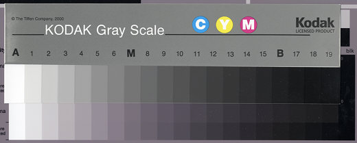 10 Step Grayscale Chart