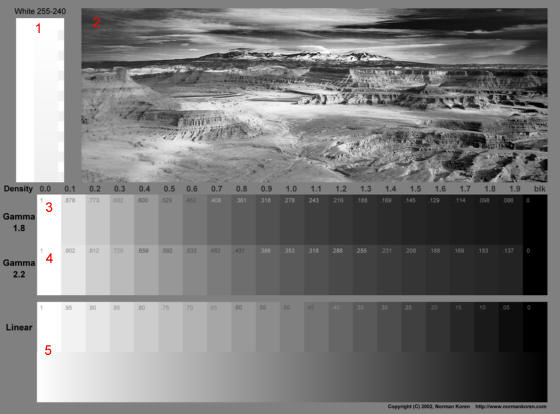 Color Chart Grayscale