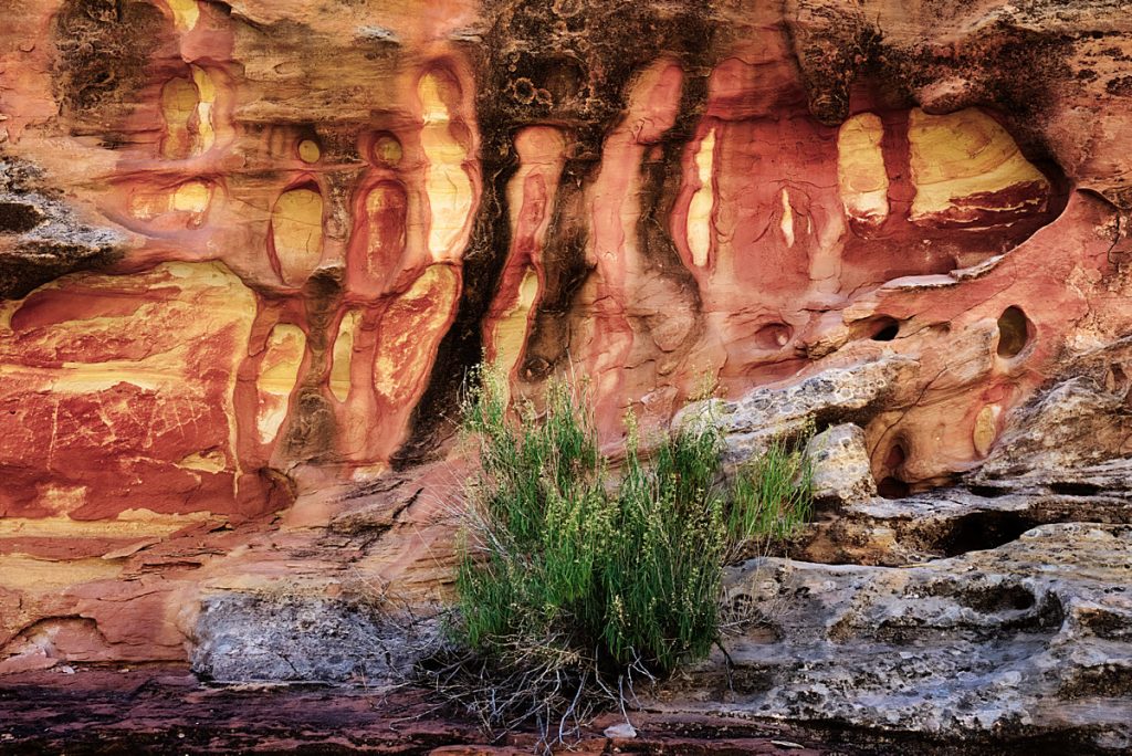 Capitol_Reef_wall_2_3433-1200W