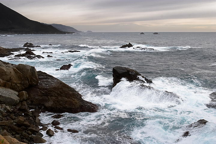 Garrapata State Park-- after selective manipulation