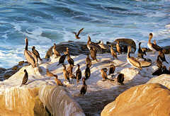 La Jolla, California