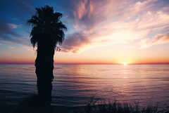 Swami's Beach, Encinitas, California