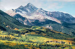 Aspens and mountain near Telluride