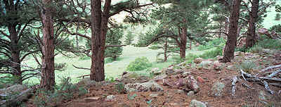 Near the Homestead Trail, south of Boulder, May