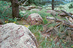 Round rocks, Homestead trail