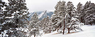 Flatirons-snow-trees, Boulder, CO