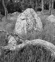 Cosmic egg rising, California, 1978