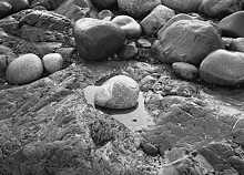 Tide Pool Rocks, Nahant, Massachusetts, 1969