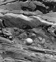 Tidepool, California, 1977