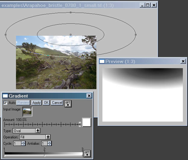 Making an oval Gradient