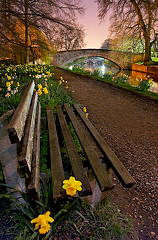 Sean McHugh Flower bench, Cambridge