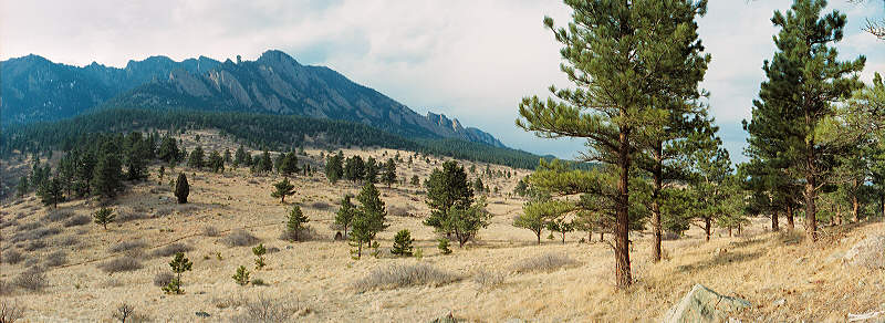 The Mesa trail in (so-called) winter, south of Boulder