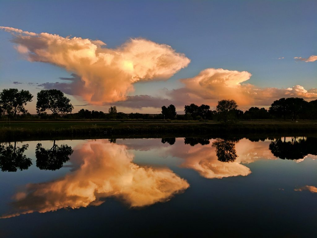 Images mid 2016 to late 2017 Norman Koren