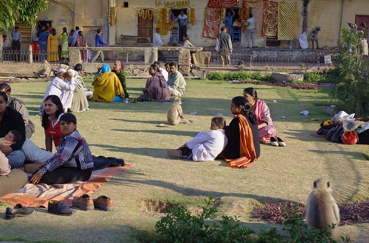 Picnicing, Amber Fort